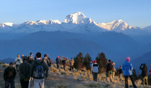 Himalayan Hill Safari