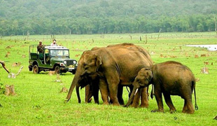 Bangalore Nagarhole Tour
