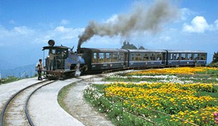 Golden Triangle with Tea Tour